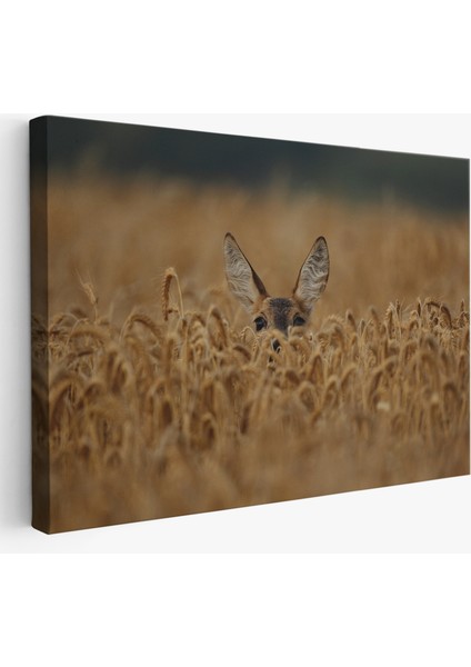 Ceylan Dekoratif Kanvas Tablo 1145