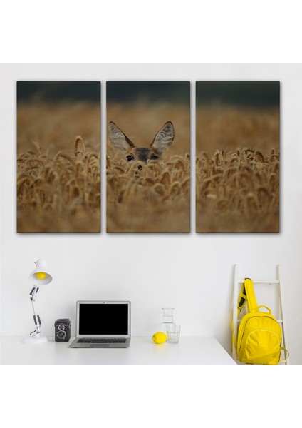 Ceylan Dekoratif Kanvas Tablo 1145 modelleri