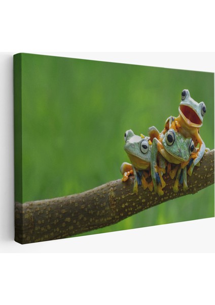 Küçük Kurbağalar Dekoratif Kanvas Tablo 1179