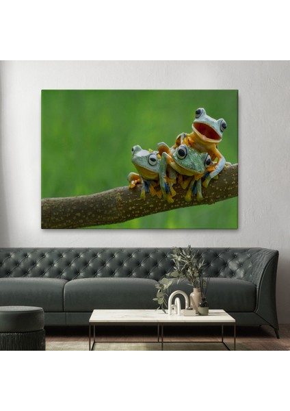 Küçük Kurbağalar Dekoratif Kanvas Tablo 1179 fiyatları