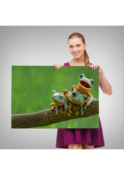 Küçük Kurbağalar Dekoratif Kanvas Tablo 1179 fırsatları