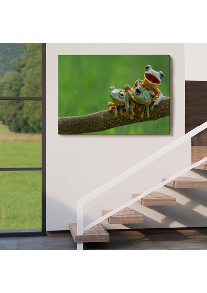 Küçük Kurbağalar Dekoratif Kanvas Tablo 1179 indirimleri