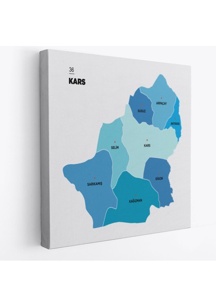 Kars Ili ve Ilçeler Haritası Dekoratif Kanvas Tablo 1381