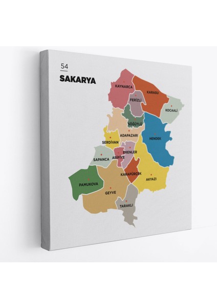 Sakarya Ili ve Ilçeler Haritası Dekoratif Kanvas Tablo 1443