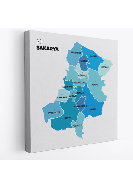 Sakarya Ili ve Ilçeler Haritası Dekoratif Kanvas Tablo 1444