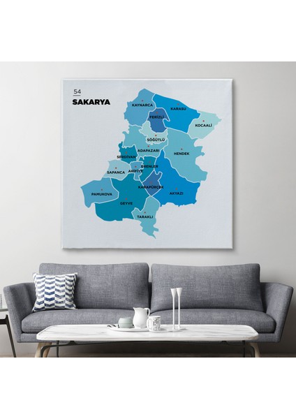 Sakarya Ili ve Ilçeler Haritası Dekoratif Kanvas Tablo 1444