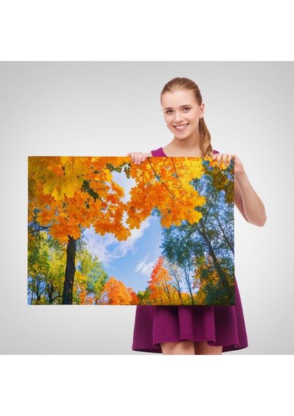 Sarı Yapraklı Sonbahar Manzarası Duvar TABLOSU-1236 fırsatları