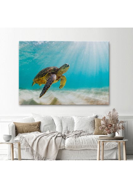 Deniz Kaplunbağası Dekoratif Kanvas Duvar TABLOSU-3662 fiyatları
