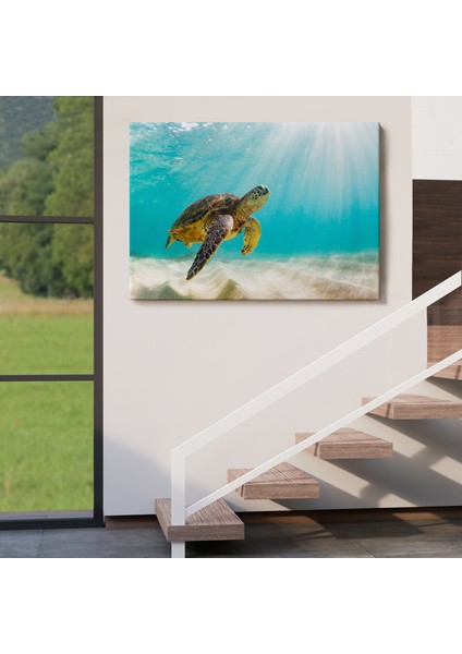 Deniz Kaplunbağası Dekoratif Kanvas Duvar TABLOSU-3662 indirimleri