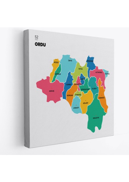 Ordu Ili ve Ilçeler Haritası Dekoratif Kanvas Tablo 1433