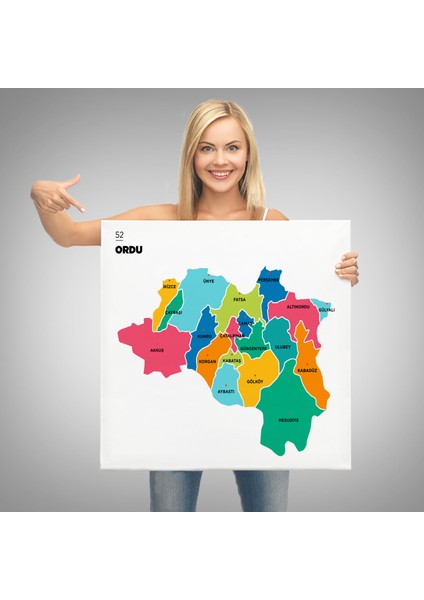 Ordu Ili ve Ilçeler Haritası Dekoratif Kanvas Tablo 1433 modelleri