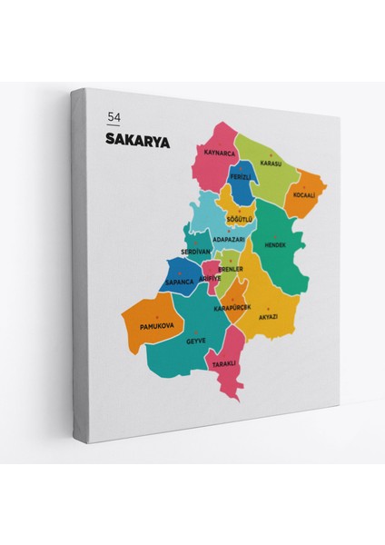 Sakarya Ili ve Ilçeler Haritası Dekoratif Kanvas Tablo 1442