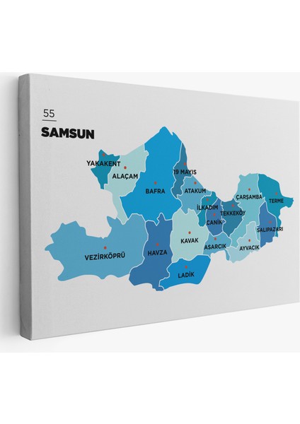 Samsun Ili ve Ilçeler Haritası Dekoratif Kanvas Tablo 1447