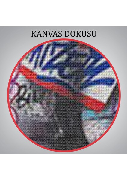 Sokak Graffiti Duvar Sanatı Kanvas Tablo, Banksy Renkli Graffiti Pop ART-5337