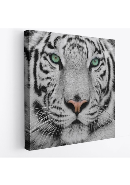 Kaplan Dekoratif Kanvas TABLO-5807