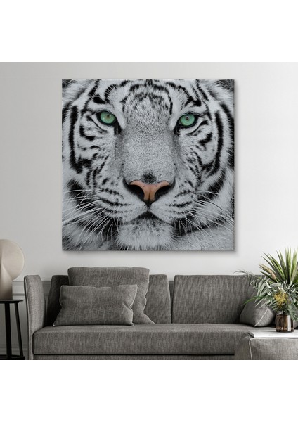 Kaplan Dekoratif Kanvas TABLO-5807 fiyatları