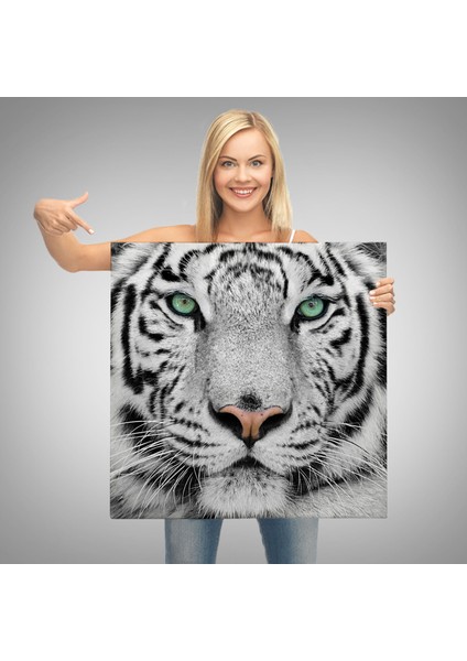 Kaplan Dekoratif Kanvas TABLO-5807 modelleri