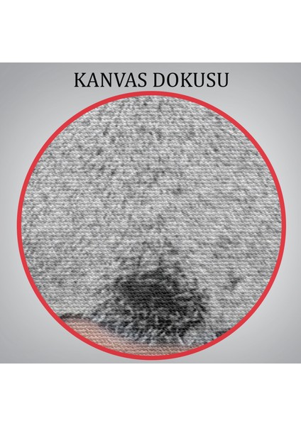 Kaplan Dekoratif Kanvas TABLO-5807 indirimleri