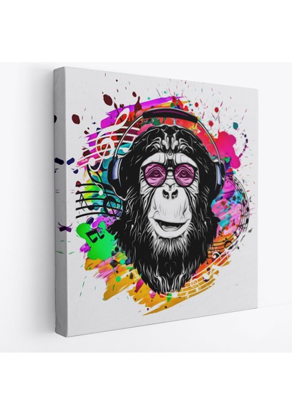 Dj Maymun Kanvas TABLO-5063