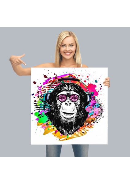 Dj Maymun Kanvas TABLO-5063 modelleri