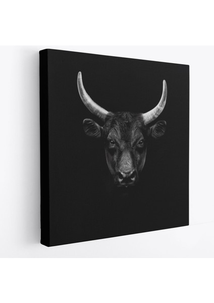 Boğa Dekoratif Kanvas TABLO-5809