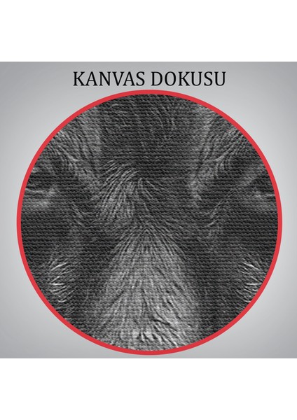 Boğa Dekoratif Kanvas TABLO-5809 indirimleri