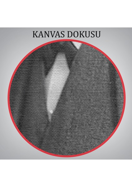 Sigmund Freud Elinde Puro ile Siyah Beyaz Fotoğrafı Kanvas TABLO-5238 indirimleri