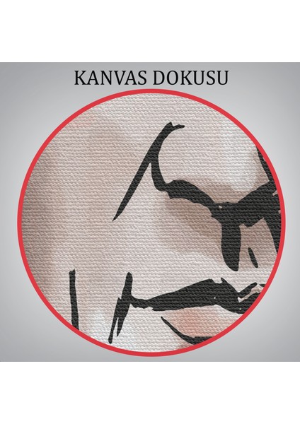 Isaac Newton Dekoratif Kanvas TABLO-5914 indirimleri