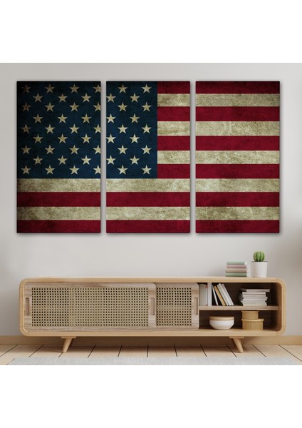 Amerika Birleşik Devletleri Bayrağı Rustik Kanvas TABLO-5412 modelleri