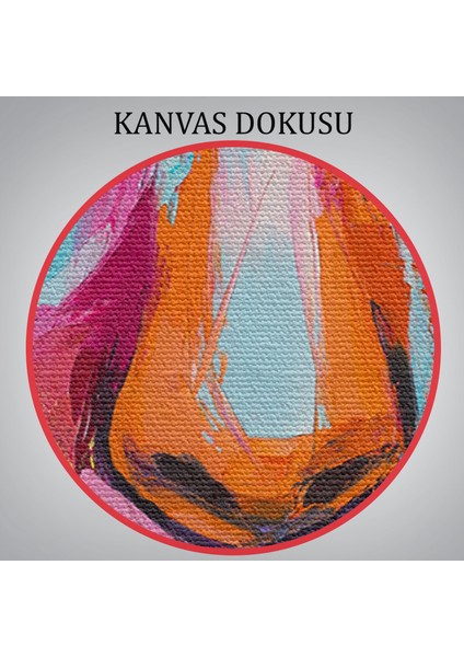 Soyut Renkli Kadın Yağlıboya Görünüm Dekoratif Kanvas Duvar TABLOSU-5836 indirimleri