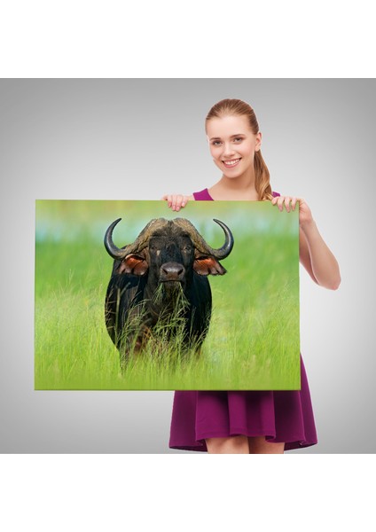 Asya Mandası Duvar TABLOSU-6511 modelleri