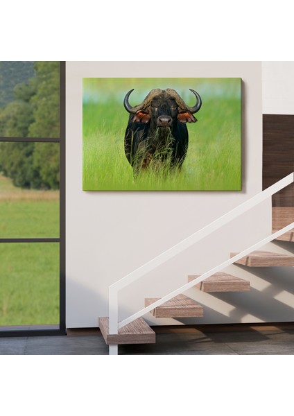 Asya Mandası Duvar TABLOSU-6511 fırsatları