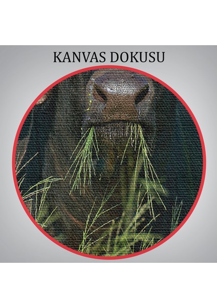 Asya Mandası Duvar TABLOSU-6511 indirimleri