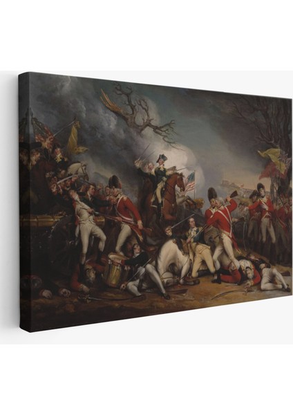 Princeton Savaşı'nda General Mercer'in Ölümü Tablo- -6548