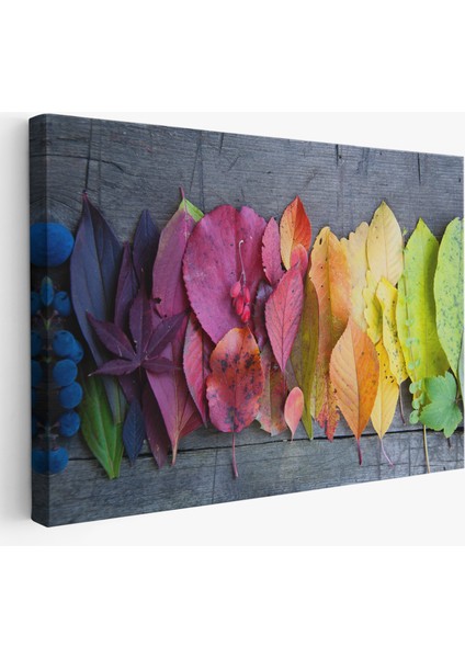 Sonbahar Yaprakları Dekoratif Kanvas Duvar TABLOSU-3441
