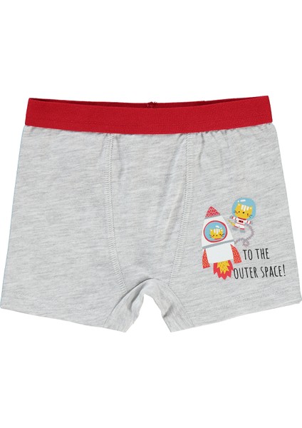 Civil Boys Erkek Bebek Boxer 9-18 Ay Boxer