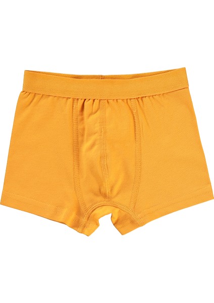 Erkek Çocuk Boxer 2-10 Yaş Turuncu-Lacivert modelleri