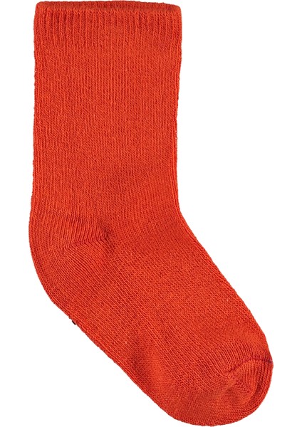 Erkek Bebek 5'li Çorap 0-24 Ay modelleri