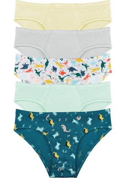 Erkek Çocuk Pamuklu 5'li Külot Set - KIDS2000-Karışık