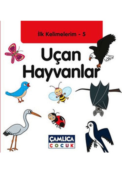 Ilk Kelimelerim 5: Uçan Hayvanlar