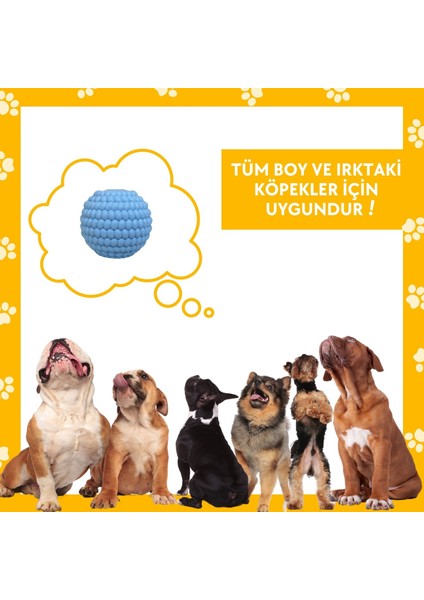 Doğal Kauçuk Köpek Isırma Topu Açık Mavi Renkli Içine Ödül Maması Saklanabilen Köpek Oyuncağı Toksik Madde Içermez