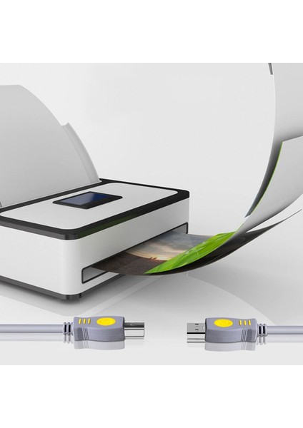 Yazıcı Kablosu 6,6 Ft Usb2.0 Tip A Erkek - B Erkek Kablo Yazıcılar Için Yüksek Hızlı Kablo (Yurt Dışından) indirimleri