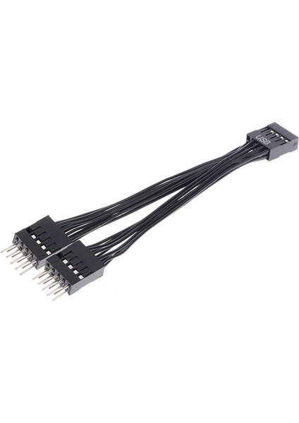 2 Adet Bilgisayar Anakartı USB Uzatma Kablosu 9 Pin 1 Dişi 2 Erkek Y Splitter Ses Hd Uzatma Kablosu Pc Için 10CM (Yurt Dışından)