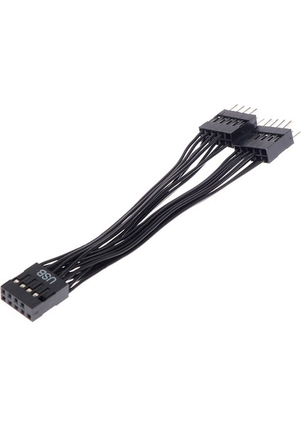 2 Adet Bilgisayar Anakartı USB Uzatma Kablosu 9 Pin 1 Dişi 2 Erkek Y Splitter Ses Hd Uzatma Kablosu Pc Için 10CM (Yurt Dışından) modelleri