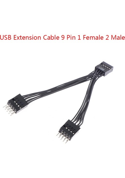 2 Adet Bilgisayar Anakartı USB Uzatma Kablosu 9 Pin 1 Dişi 2 Erkek Y Splitter Ses Hd Uzatma Kablosu Pc Için 10CM (Yurt Dışından) fırsatları