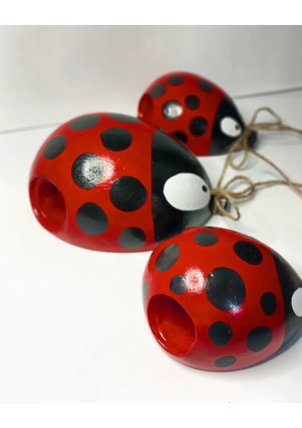 Balon Duvar Saksısı Seti Uğur Böceği Desenli modelleri