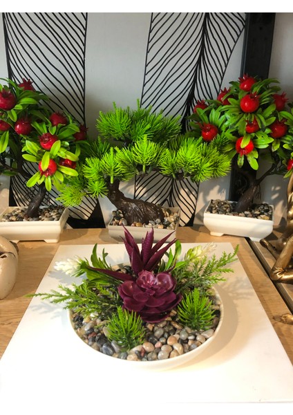 Dekoratif Tabakta Yapay Sukulent Tanzim Çiçek