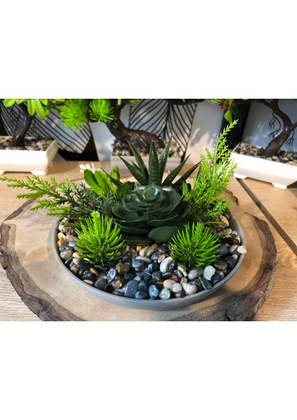 Dekoratif Tabakta Yapay Sukulent Tanzim Çiçek