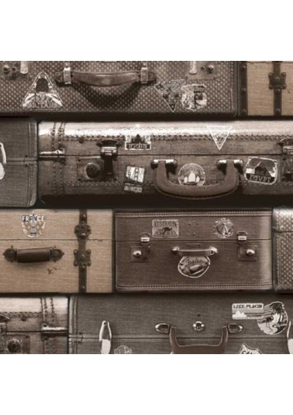 3 Dynamıc Fransız Duvar Kağıdı J704-08 (5m2) fiyatları