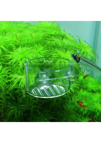 Şeffaf Stil 4.7CMX3CM Akvaryum Dekorasyon Asılı Balık Tankı Mini Kristal Akrilik Pot Polka Su Saksı Dikim Silindir Bardak Akvaryum Aksesuarları (Yurt Dışından) modelleri